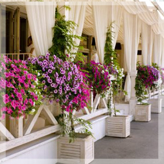 Озеленение улицы