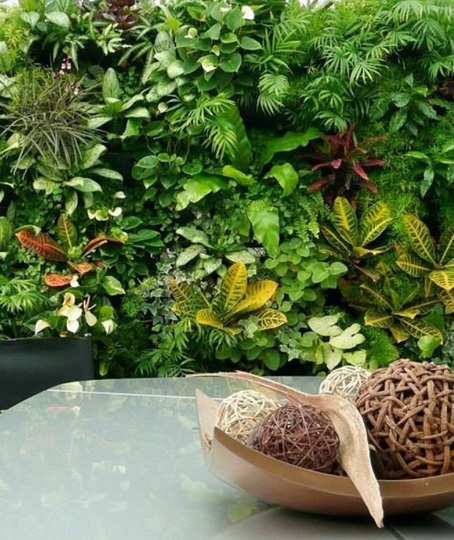 вертикальное озеленение