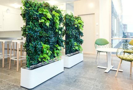 вертикальное озеленение