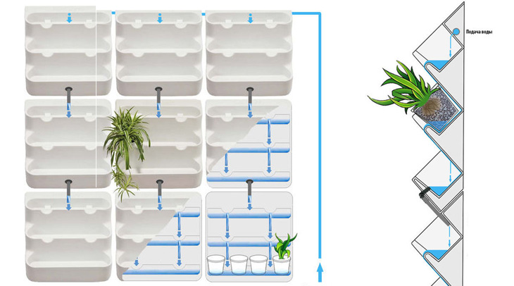 вертикальное озеленение