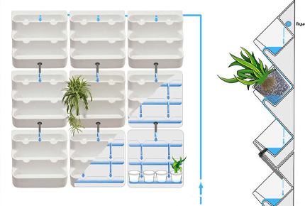 вертикальное озеленение