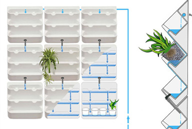 вертикальное озеленение