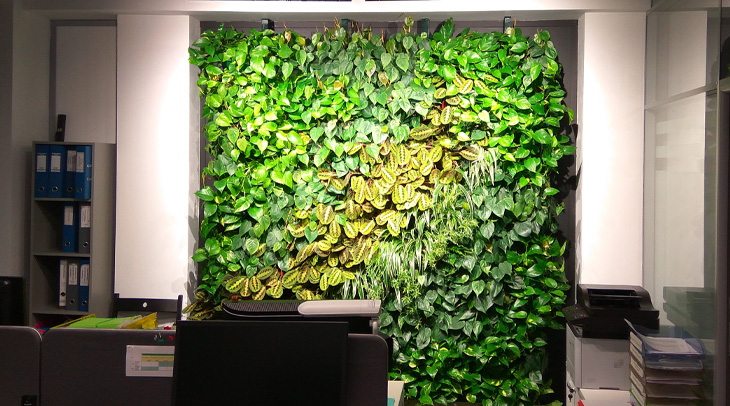 вертикальное озеленение