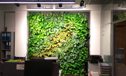 вертикальное озеленение