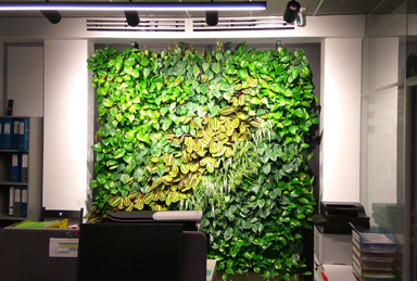 вертикальное озеленение