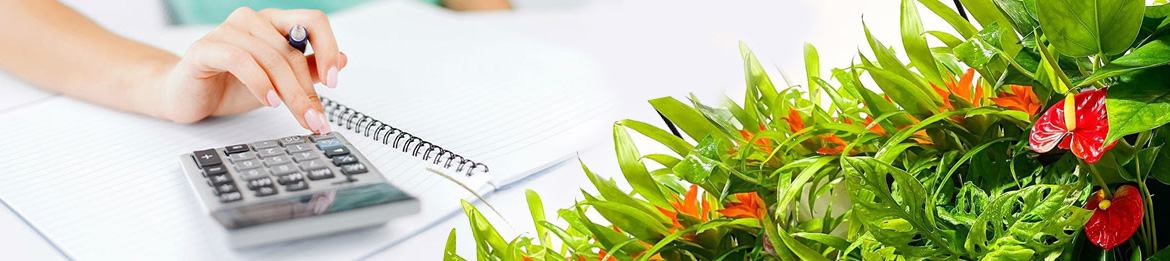 вертикальное озеленение