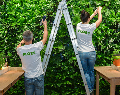 вертикальное озеленение