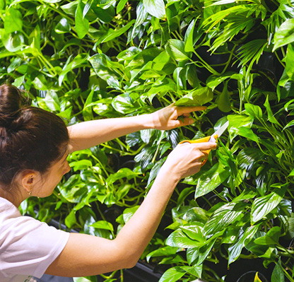 услуги по озеленению