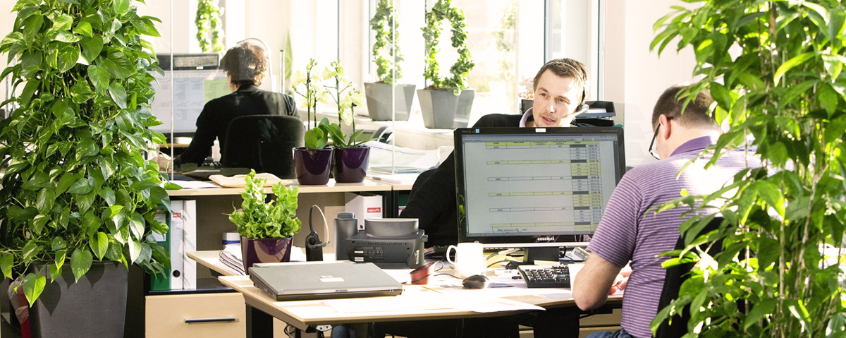 Услуги озеленения Москва