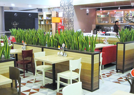 цветы в кафе