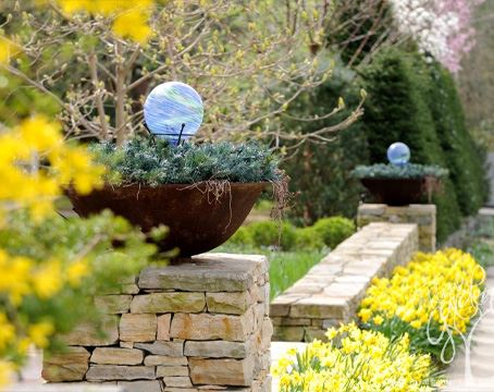 растения для кафе и ресторанов