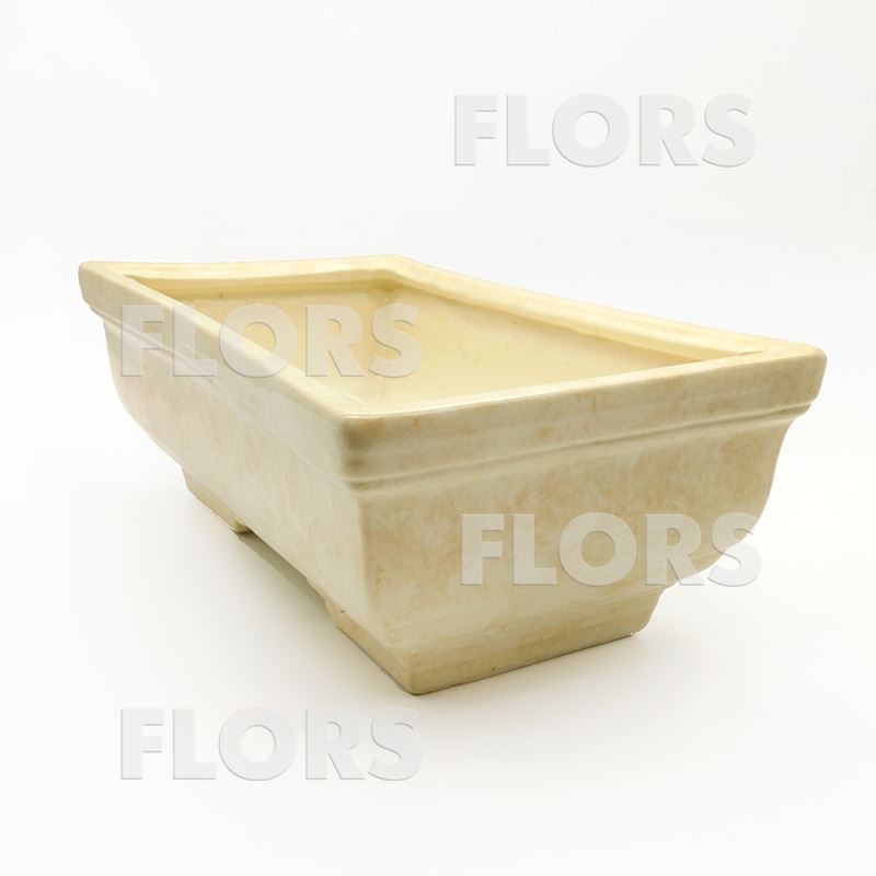 Бонсайница керамика №02 Бежевая