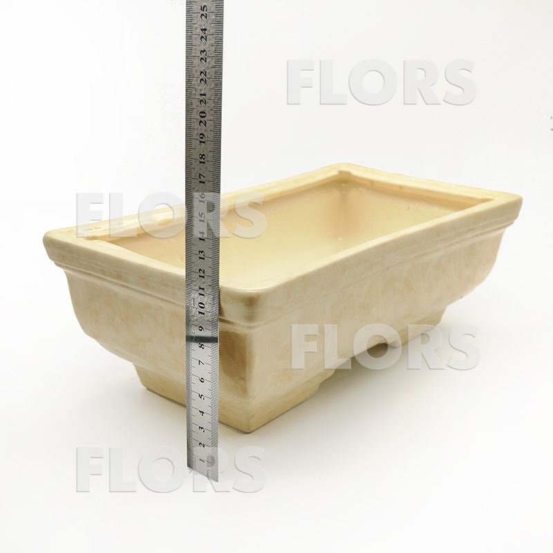 Бонсайница керамика №02 Бежевая