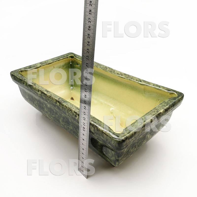 Бонсайница керамика №02 Зеленая