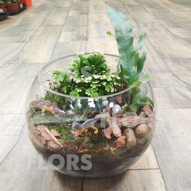 Композиции из растений