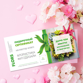 мастер класс