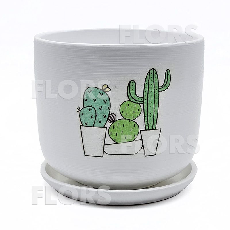 Горшок керамика Кактус клуб Цилиндр