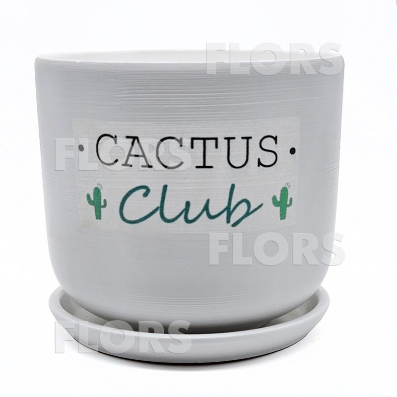 Горшок керамика Кактус клуб Цилиндр