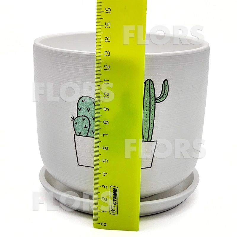 Горшок керамика Кактус клуб Цилиндр