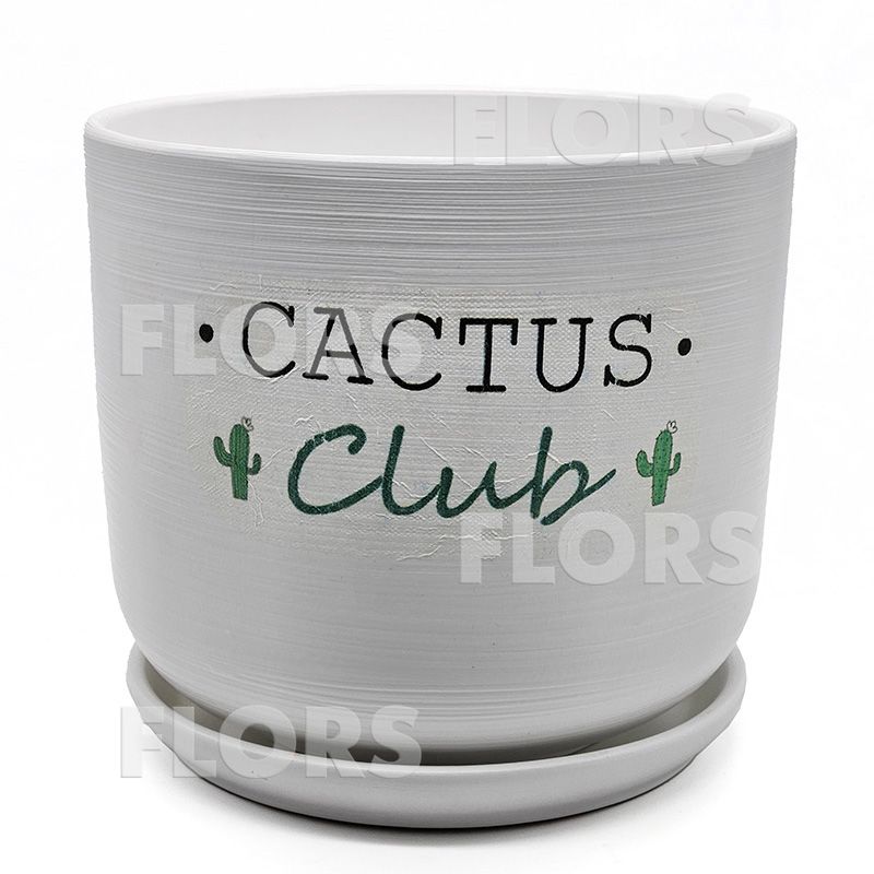 Горшок керамика Кактус клуб Цилиндр