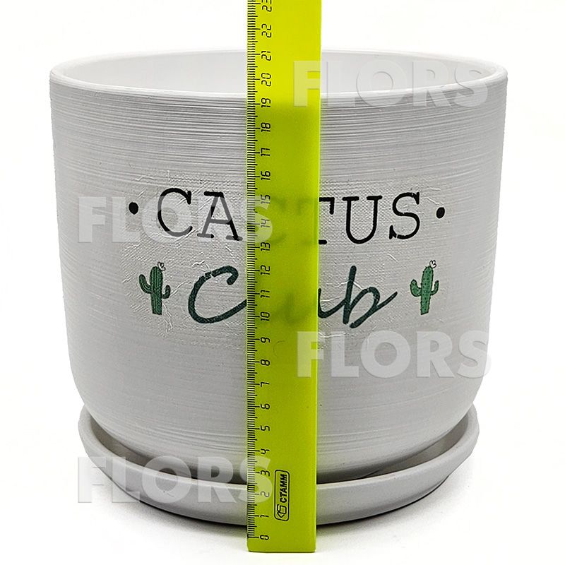 Горшок керамика Кактус клуб Цилиндр