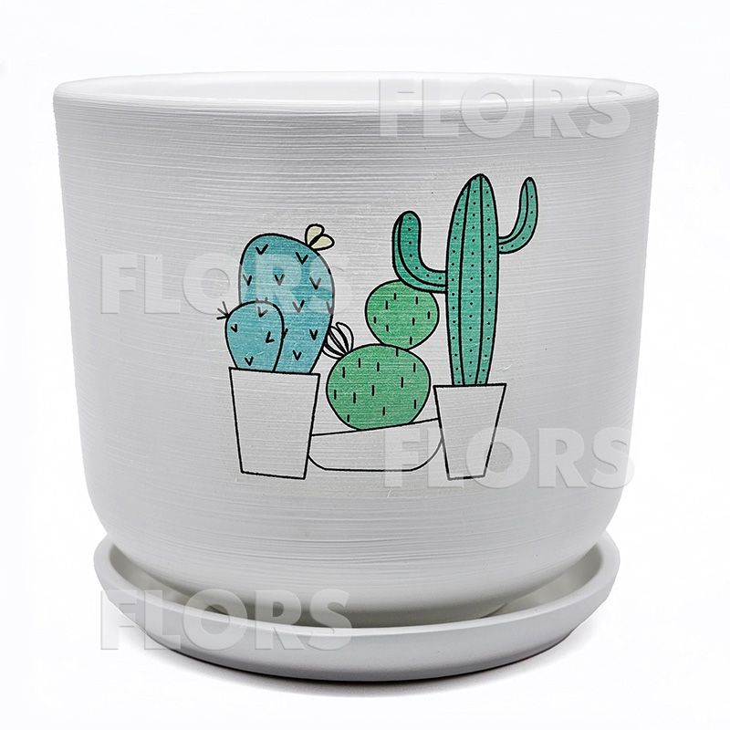 Горшок керамика Кактус клуб Цилиндр