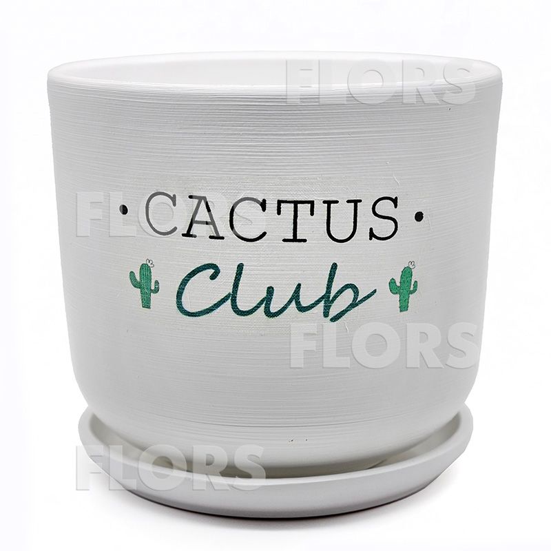 Горшок керамика Кактус клуб Цилиндр