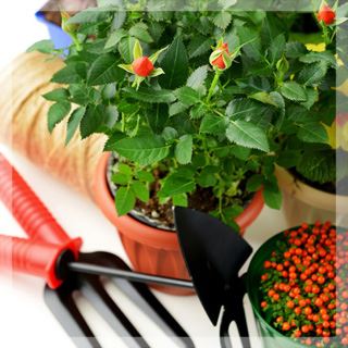 нциклопедия. Не продаются