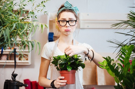 уход за растениями